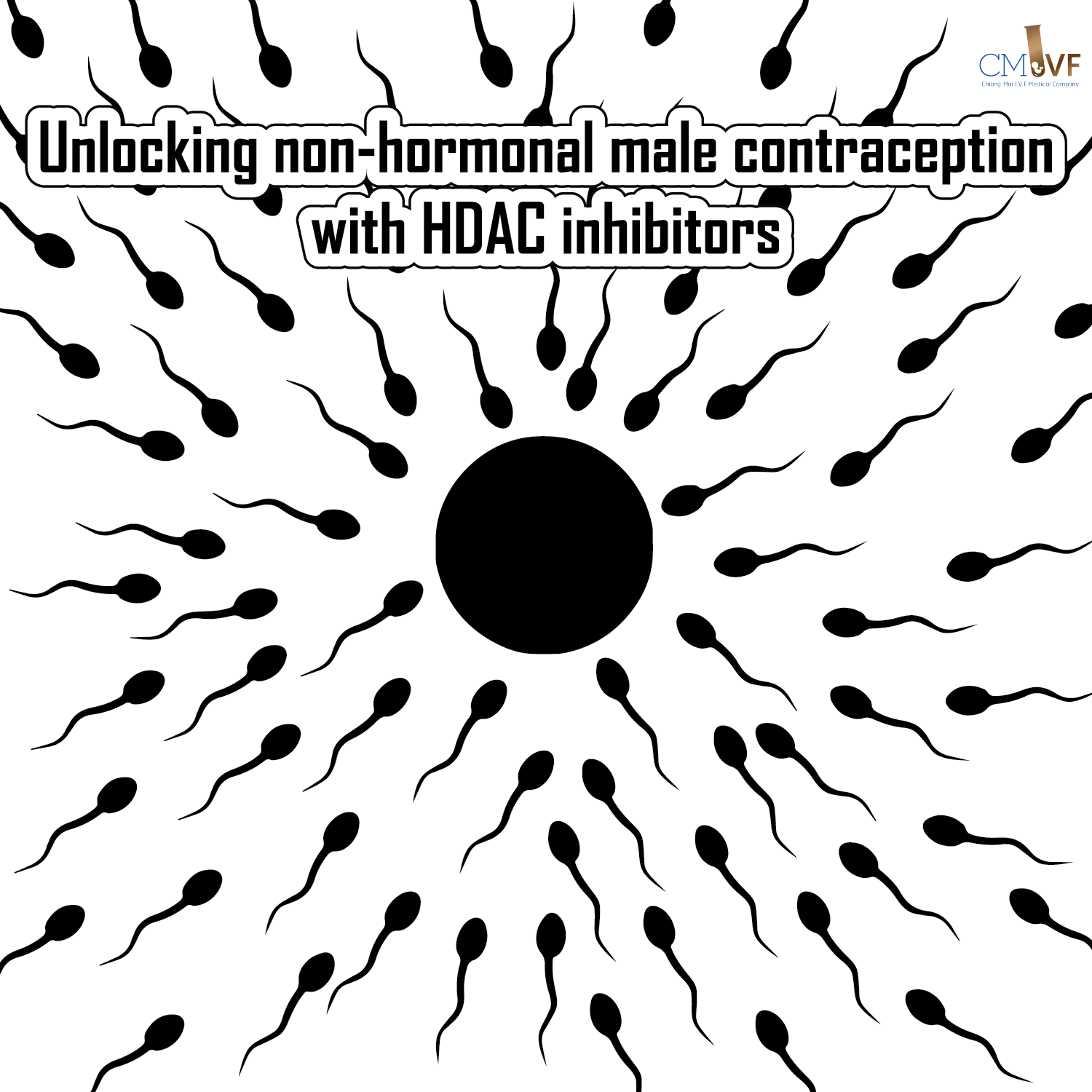 Unlocking non-hormonal male contraception with HDAC inhibitors