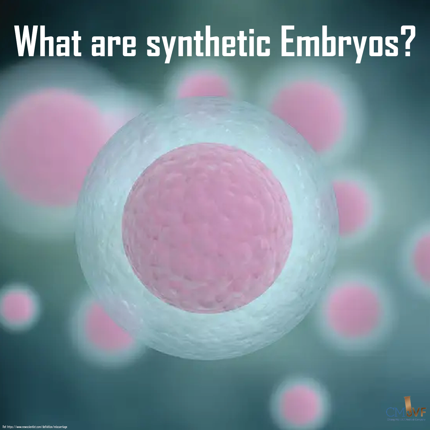 What are synthetic Embryos?