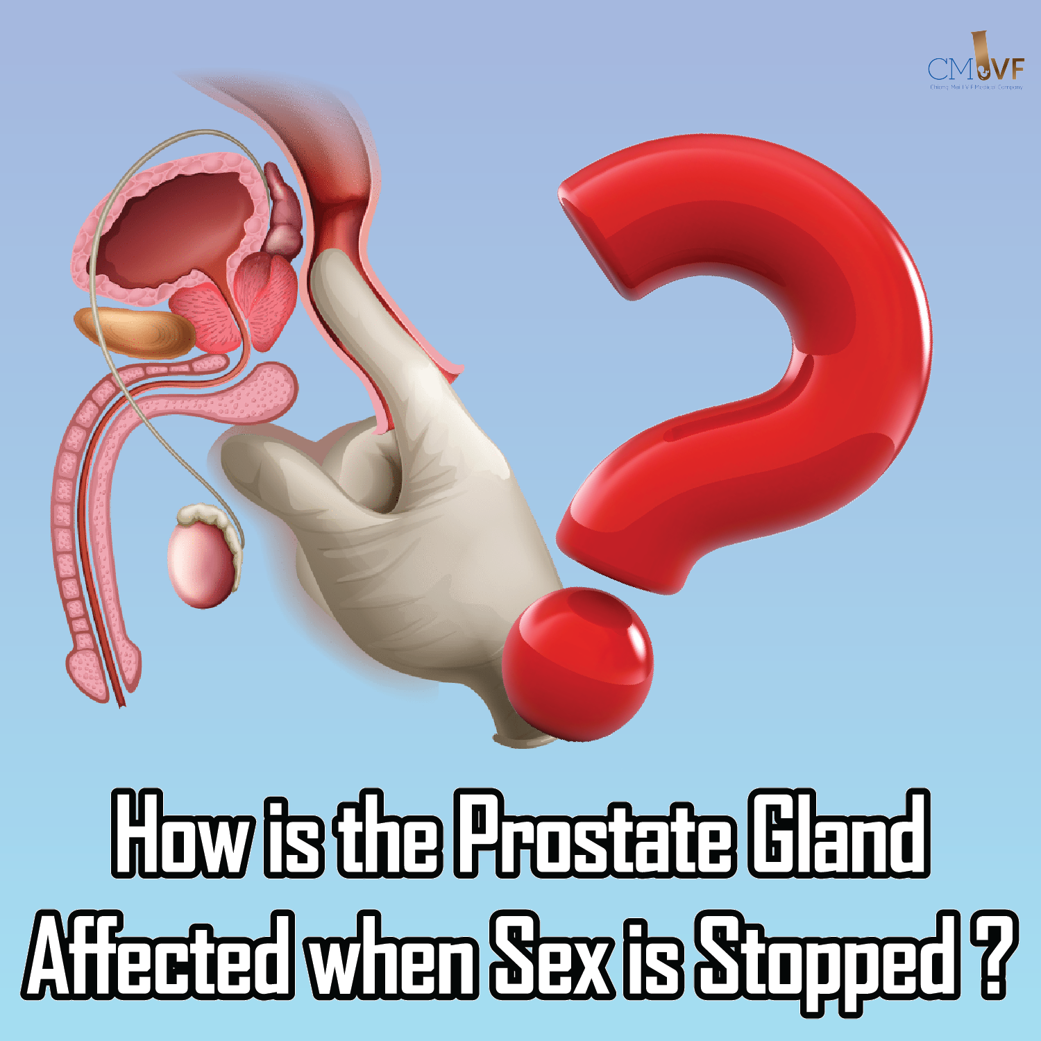 How is the Pro state Gland Affected when Sex is Stopped?