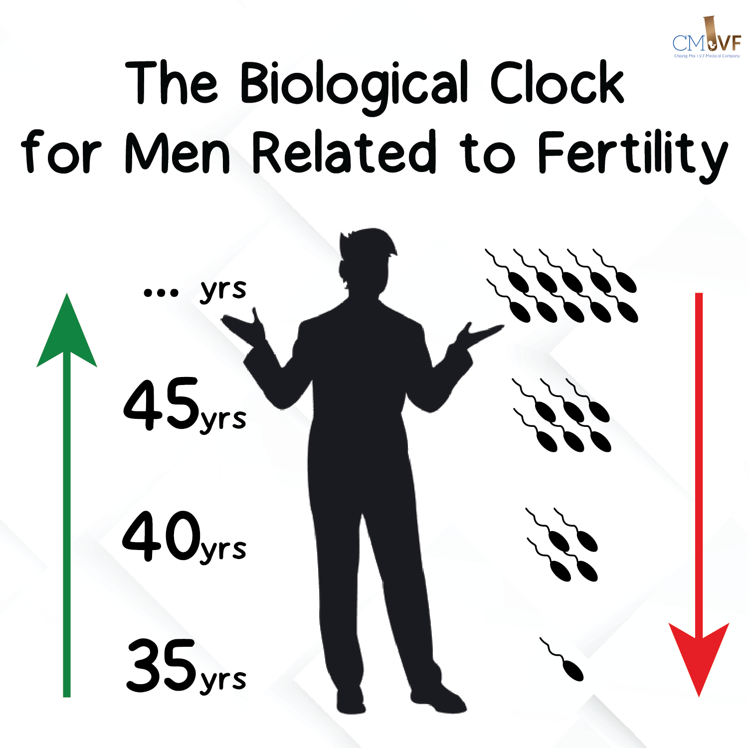 The Biological Clock for Men Related to Fertility