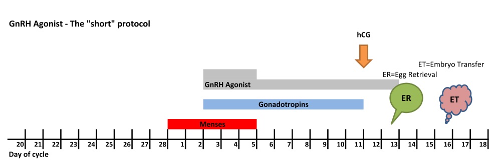 GnRH Agonist Egg Retrieval & Addition of Sperm - เชียงใหม่ ไอ.วี.เอฟ สหคลินิก